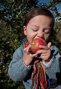 Image result for Most Popular Apple Varieties