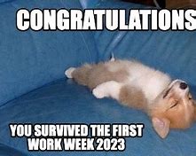 Image result for Survived the Work Week Meme