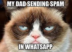 Image result for Fat Cat Spam Meme