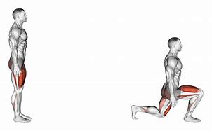 Image result for Lunges Muscles