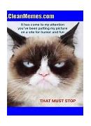 Image result for Cat Memes 2017