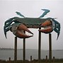 Image result for World's Largest Blue Crab
