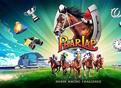 Image result for Funny Australian Horse Racing Photos