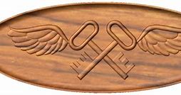 Image result for Cbirf Logo Pin