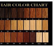 Image result for Number 2 Hair Color