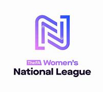 Image result for National League Sleeve Logo