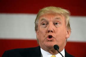 Image result for Trump Lips