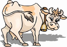 Image result for Cow Tail Cartoon