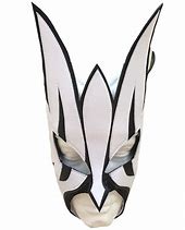 Image result for Jeff Hardy Mask