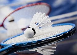 Image result for Photos of Badminton