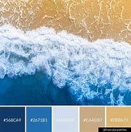 Image result for Beach Blue Color Palette