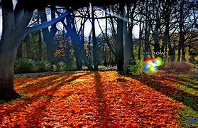 Image result for Windows 7 Wallpapers Free Download