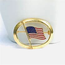 Image result for Columbia Brooch Flag