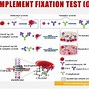 Image result for Complement Fixation Anatomy