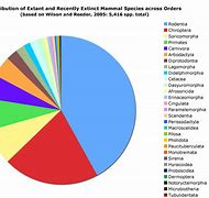 Image result for Mammals List
