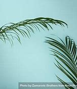 Image result for Cool Baby Blue Background