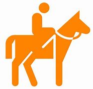 Image result for Horse Trainer Mark Nyhan