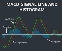 Image result for 2 Lines On Signal Bar