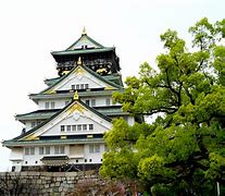 Image result for Famous Castle in Osaka