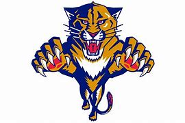 Image result for Panther Colors