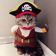 Image result for Pirate Cat Boy
