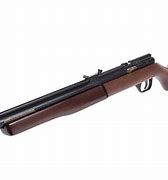 Image result for Pump Up Air Rifles