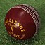 Image result for Leather Ball Cricket Kit