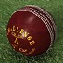 Image result for Old Leather Cricket Ball