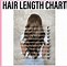 Image result for Hair Length Guide Scetch