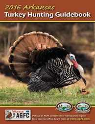 Image result for Turkey Guide Book