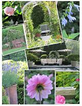Image result for Container Moss Garden