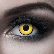 Image result for Eye Contact Lenses