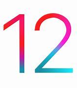 Image result for iPhone 5C iOS 12