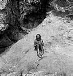 Image result for Scene From Planet of the Apes