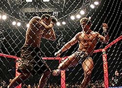 Image result for Cage Fighting