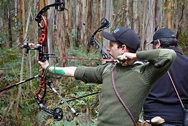 Image result for Left-Handed Bow Hold