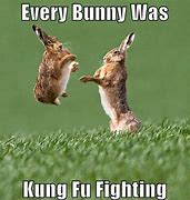 Image result for Easter Bunny Memes Funny
