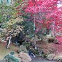 Image result for Nikko Japan Spring
