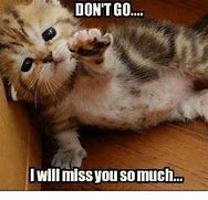 Image result for Gonna Miss You Meme Bill Murray