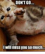 Image result for I'll Miss You Funny Meme