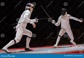 Image result for Fencing Fight