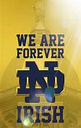 Image result for Notre Dame Indiana