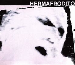 Image result for hermafrodito