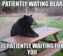 Image result for Waiting Bear Meme