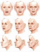 Image result for Anatomy of the Aging Face