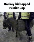 Image result for Russia Coping Meme