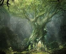 Image result for Mystical Tree Art