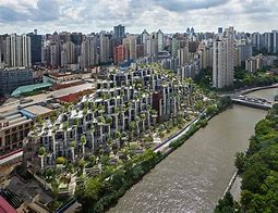 Image result for Shanghai Trees