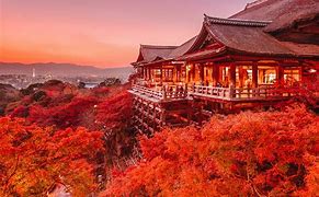 Image result for Top Places to Visit in Japan