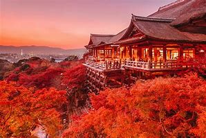 Image result for Best Japan Pictures